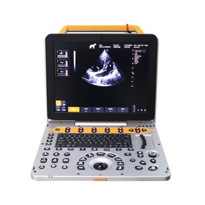 15 inci P60V Portable Veterinary Color Doppler Ultrasound System untuk Klinik Hewan Kecil