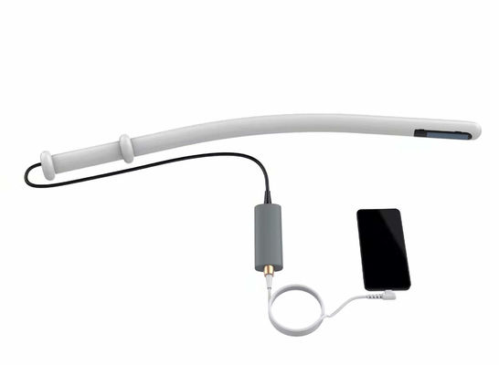 Beli Sistem Ultrasound Hewan Mesin Ultrasound Bovine 4.0MHz 6.0MHz 8.0MHz online manufacture