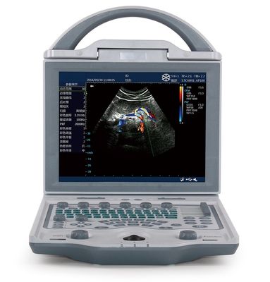 Beli 10.4'' LED Display Ultrasound Hewan Mesin Ultrasound Portabel Untuk Babi 4.5KG online manufacture