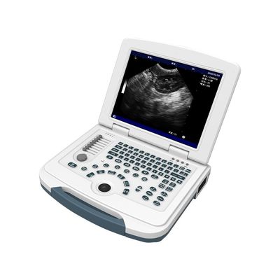 Beli Mesin Ultrasound Hewan Platform PC 12.1'' Pemindai Ultrasound Hewan LCD online manufacture