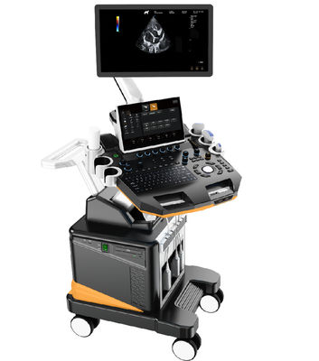 Beli Mesin Ultrasound Hewan Doppler Warna 3D/4D Sistem Pencitraan Hewan Kecil Profesional dengan LCD 21,5 '' online manufacture