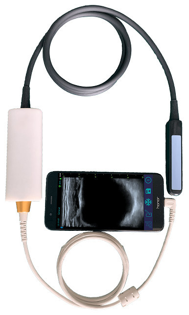Pemindai Ultrasound Hewan Genggam dengan Probe Rektal Linier untuk Reproduksi Sapi & Kuda