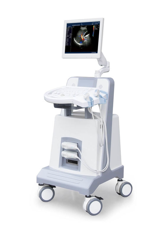 Entry Level Trolley Color Doppler Ultrasound Instrumen Diagnostik Ultrasonik 500GB