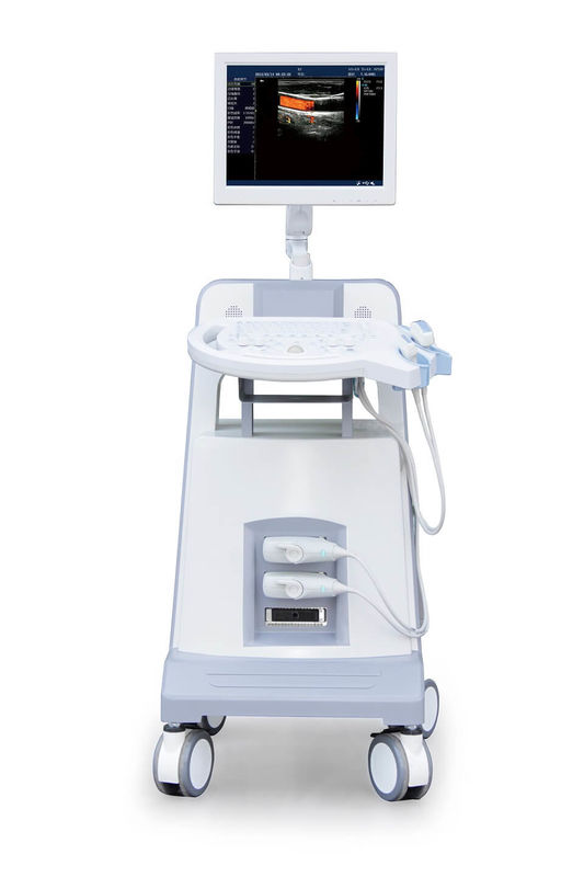 Entry Level Trolley Color Doppler Ultrasound Instrumen Diagnostik Ultrasonik 500GB