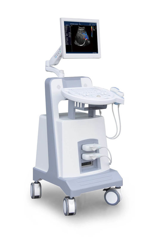 Entry Level Trolley Color Doppler Ultrasound Instrumen Diagnostik Ultrasonik 500GB