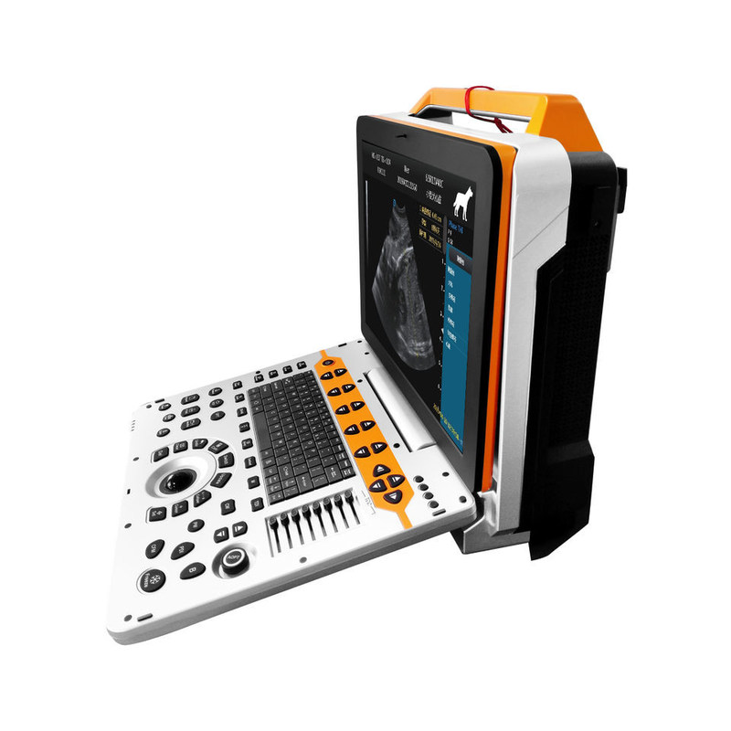 15 inci P60V Portable Veterinary Color Doppler Ultrasound System untuk Klinik Hewan Kecil